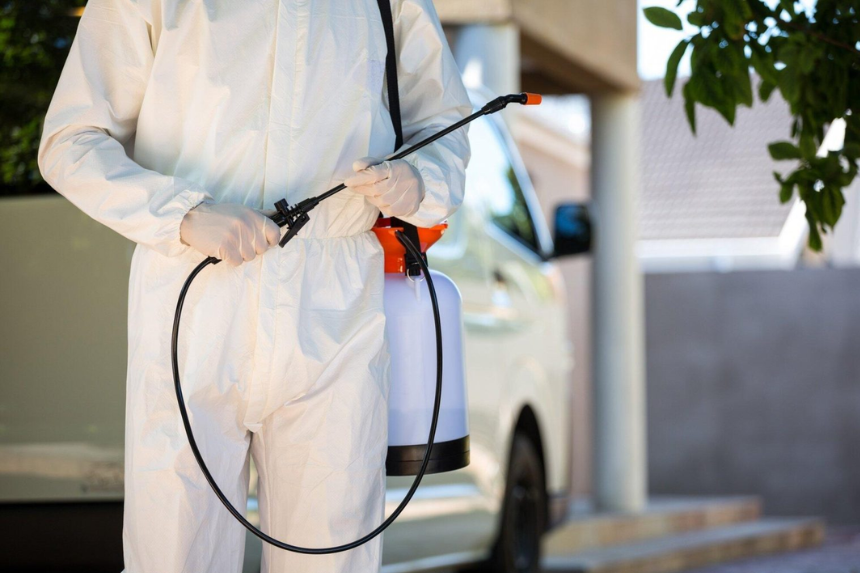 Eco-Friendly Pest Control: Why It's the Future of Home Care