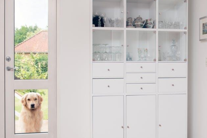 How to Find the Right Home for You and Your Pets